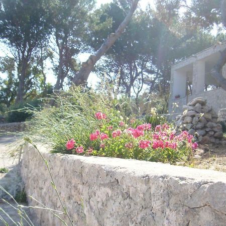 Villa Aquarium Gagliano del Capo Exteriör bild
