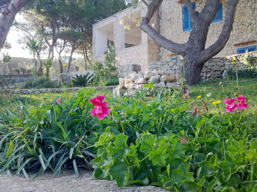 Villa Aquarium Gagliano del Capo Exteriör bild