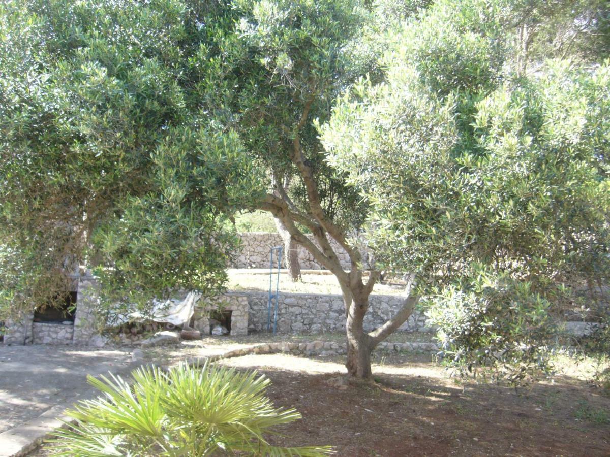 Villa Aquarium Gagliano del Capo Exteriör bild