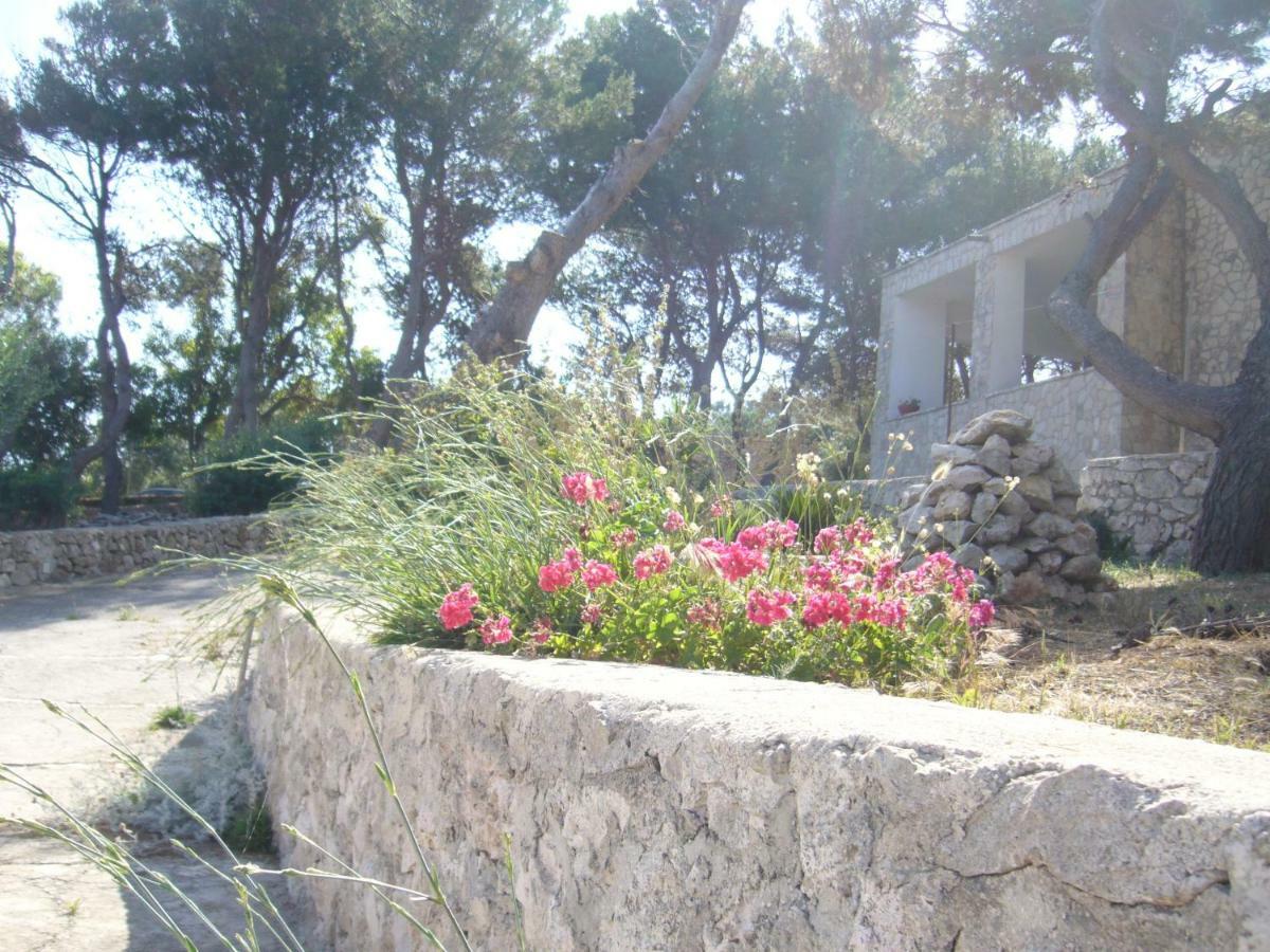 Villa Aquarium Gagliano del Capo Exteriör bild