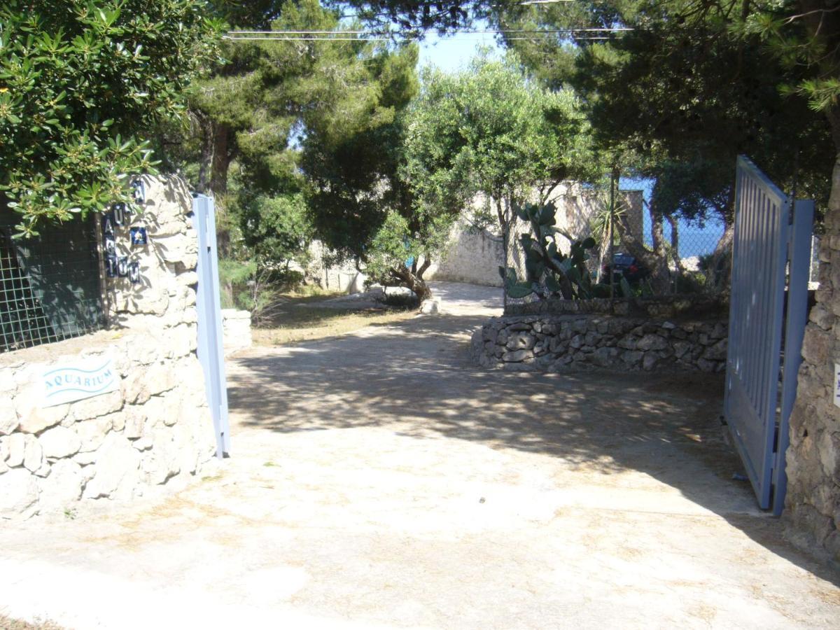 Villa Aquarium Gagliano del Capo Exteriör bild